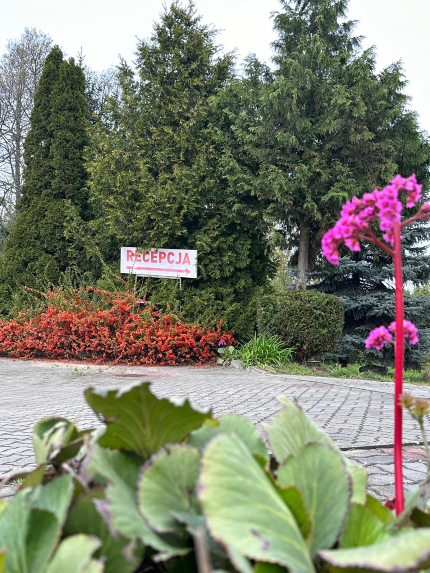 Karat Bed and Breakfast Malbork Buitenkant foto